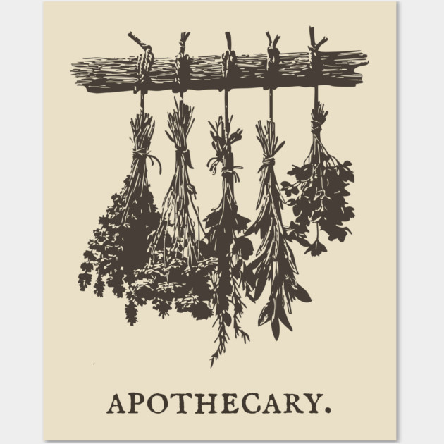 Vintage Hanging Herbs Apothecary Illustration Wall Art by TuncGK