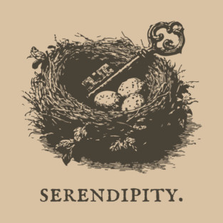Serendipity Key in a Bird's Nest Illustration T-Shirt