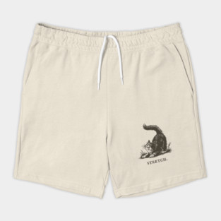 Cute Cat Morning Stretch Illustration Shorts