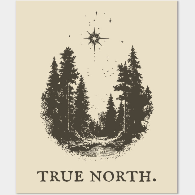 True North Star and Forest Illustration Wall Art by TuncGK
