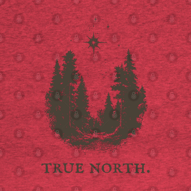 True North Star and Forest Illustration by TuncGK