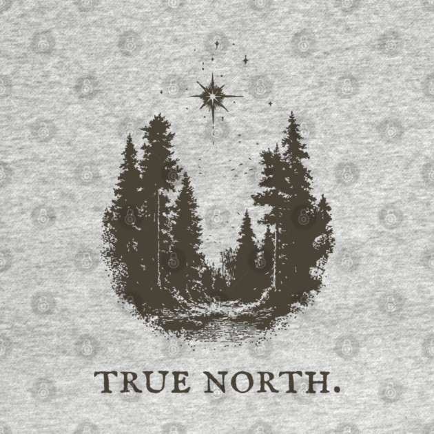 True North Star and Forest Illustration by TuncGK