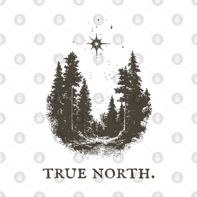 True North Star and Forest Illustration by TuncGK