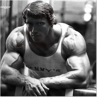 Arnold Schwarzenegger - gatimeta #980 Posters and Art