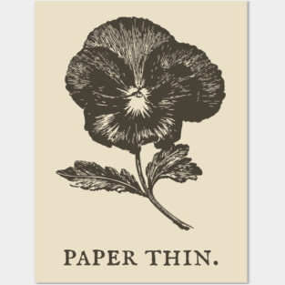 Paper Thin Pressed Pansy Flower Illustration Posters and Art