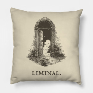 Liminal Doorway to a Starry World Pillow