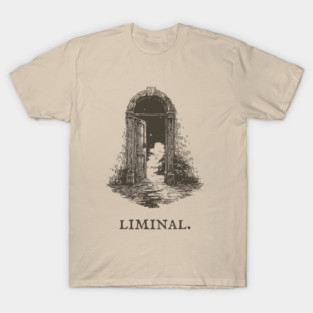 Liminal Doorway to a Starry World T-Shirt