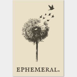 Ephemeral Dandelion Seeds to Birds Illustration Posters and Art
