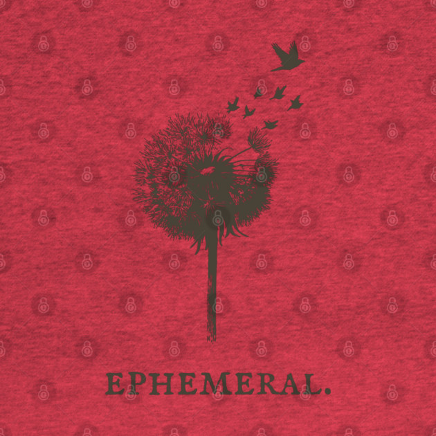 Ephemeral Dandelion Seeds to Birds Illustration by TuncGK