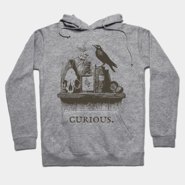 Curious Crow and Cabinet of Curiosities Illustration Hoodie by TuncGK