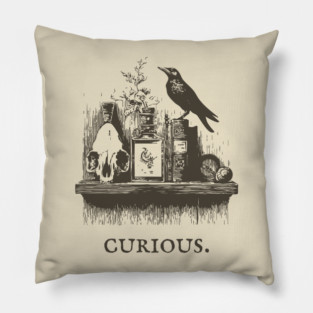 Curious Crow and Cabinet of Curiosities Illustration Pillow