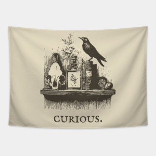 Curious Crow and Cabinet of Curiosities Illustration Tapestry