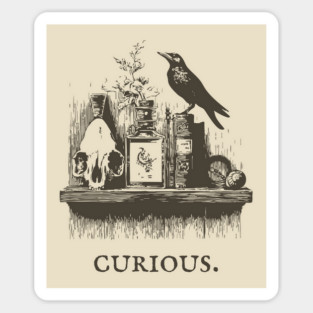 Curious Crow and Cabinet of Curiosities Illustration Sticker