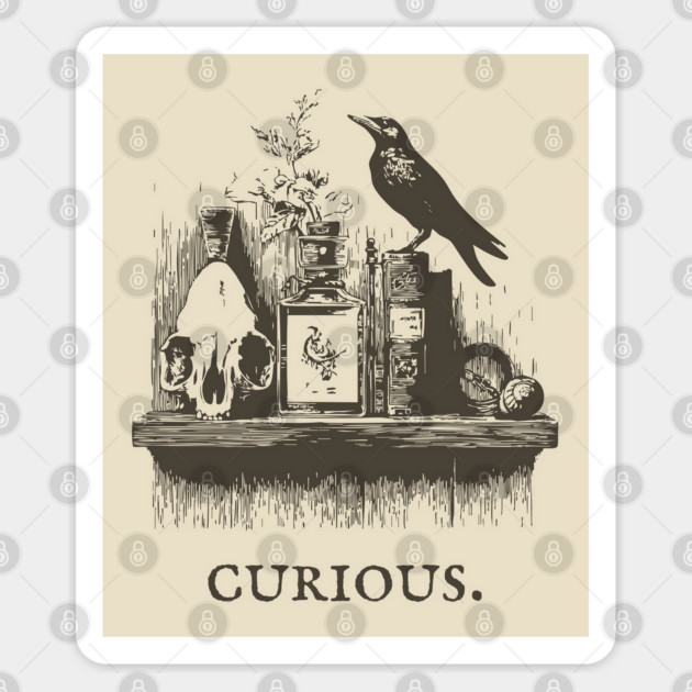 Curious Crow and Cabinet of Curiosities Illustration Sticker by TuncGK
