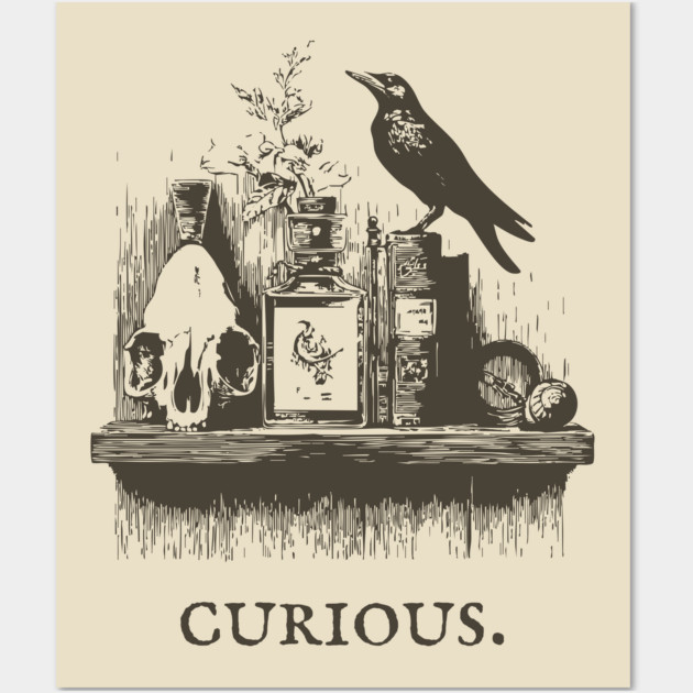 Curious Crow and Cabinet of Curiosities Illustration Wall Art by TuncGK