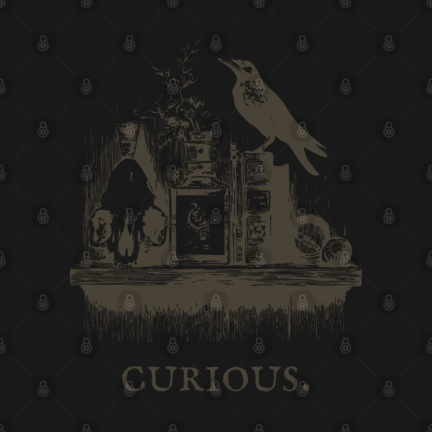 Curious Crow and Cabinet of Curiosities Illustration by TuncGK
