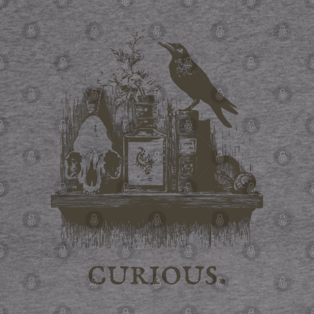 Curious Crow and Cabinet of Curiosities Illustration by TuncGK