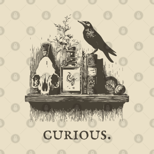 Curious Crow and Cabinet of Curiosities Illustration by TuncGK