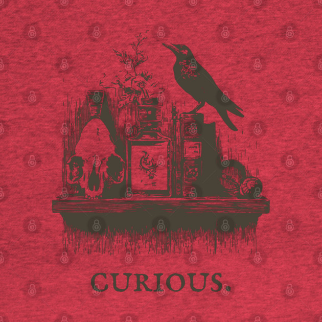 Curious Crow and Cabinet of Curiosities Illustration by TuncGK