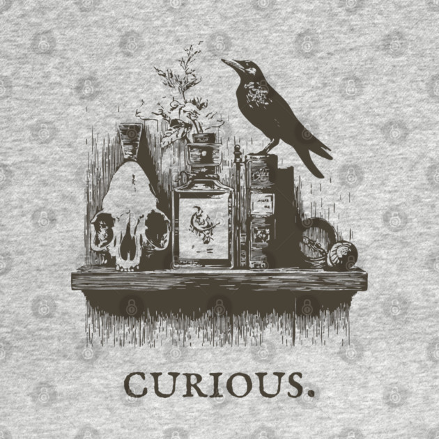 Curious Crow and Cabinet of Curiosities Illustration by TuncGK