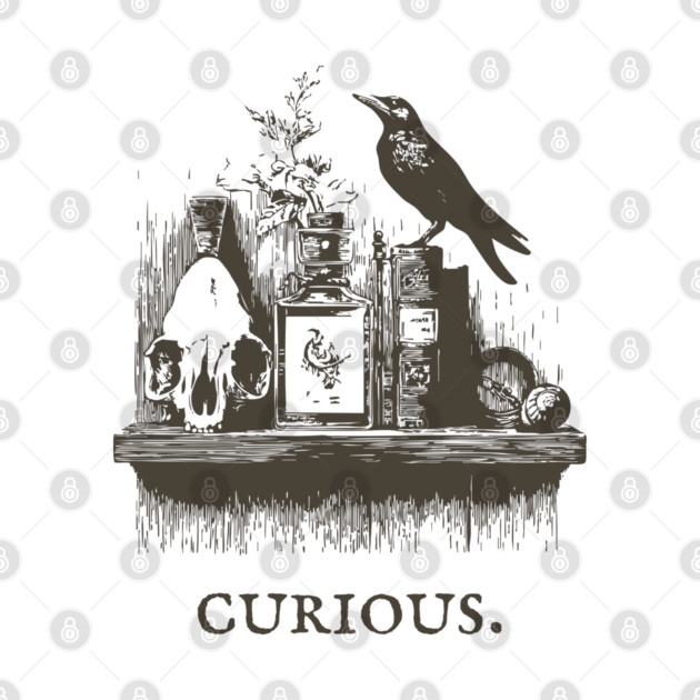 Curious Crow and Cabinet of Curiosities Illustration by TuncGK