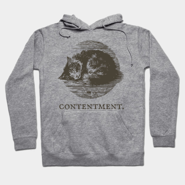 Contentment Sleeping Cat Illustration Hoodie by TuncGK