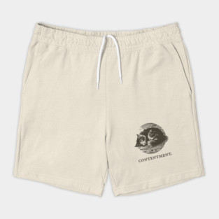 Contentment Sleeping Cat Illustration Shorts