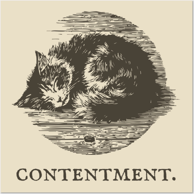 Contentment Sleeping Cat Illustration Wall Art by TuncGK