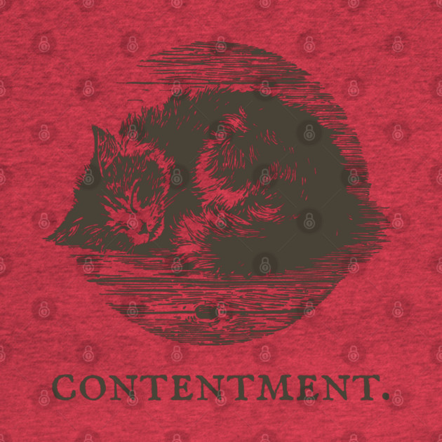 Contentment Sleeping Cat Illustration by TuncGK