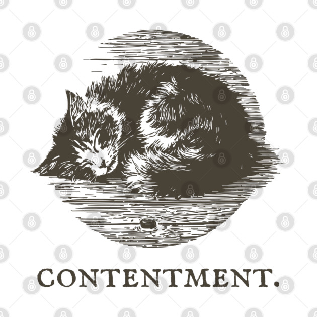 Contentment Sleeping Cat Illustration by TuncGK