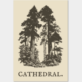 Forest Cathedral Redwood Trees Illustration Posters and Art