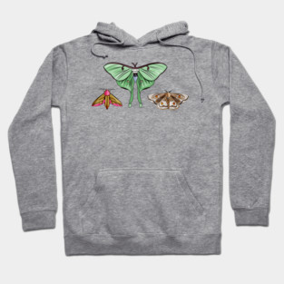 Colorful Moths in a Row Hoodie