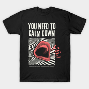 you need to calm down lyrics, gay pride ally lgbtqia+ friendly, 'cause shade never made anybody less gay, lover inspired, equal rights political activism t-shirt T-Shirt