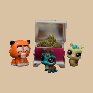 Treasure Chest - Weed Design T-Shirt