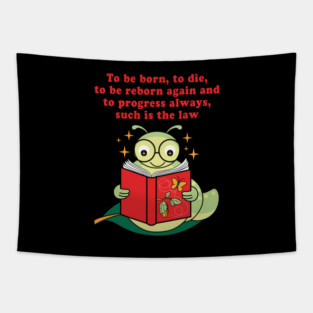 Evolution of the spirit Tapestry