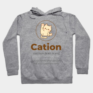 The Cutest Ion Ever - Cation Hoodie