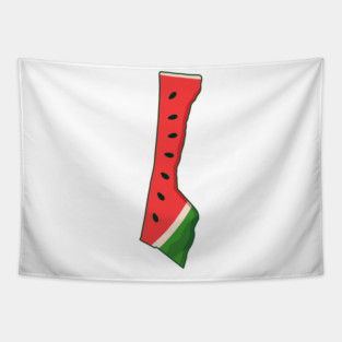 Gaza - Slice of resistence Tapestry