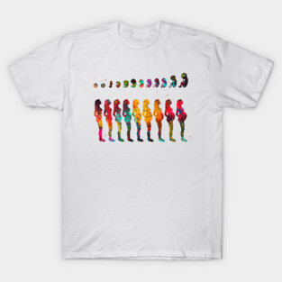 Pregnancy stages T-Shirt