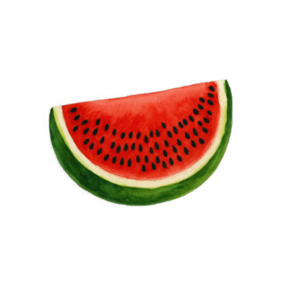 Slice of watermelon T-Shirt