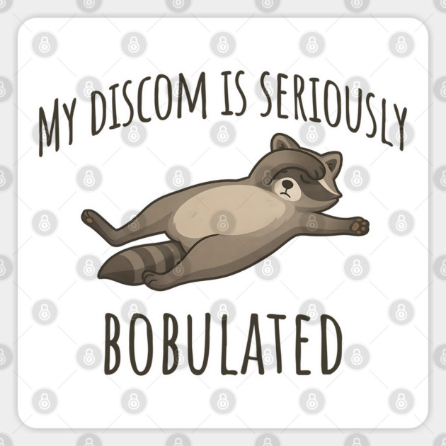 Funny My Discom Is Seriously Bobulated Raccoon Wordplay Sticker by Luxinda
