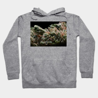 Platinum Jack Macro - Weed Design Hoodie