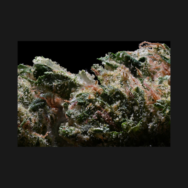 Platinum Jack Macro - Weed Design by MrGreenGenes420