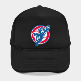 cubs Hat