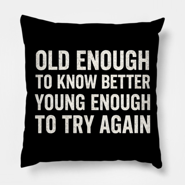 Old Enough to Know Better Young Enough to Try Again Graphic Pillow by MakerMind8.2