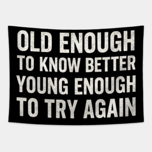 Old Enough to Know Better Young Enough to Try Again Graphic Tapestry