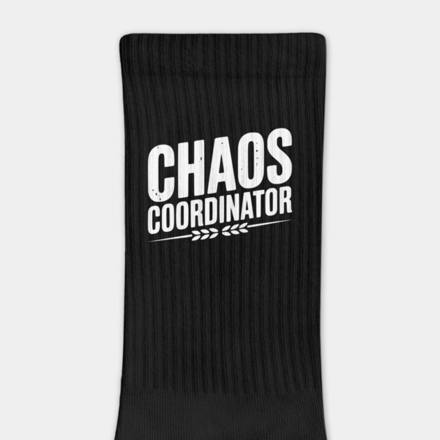 Chaos Coordinator by Frank Ring