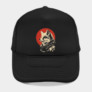 Sly Fox Astronaut in Space Hat