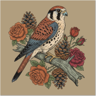 American Kestrel With Roses and Pinecones Bird Art Posters and Art