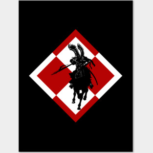 Polish Air Force Szachownica Lotnicza Posters and Art