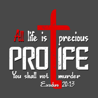 Prolife Christian Statement T-Shirt